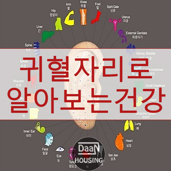  귀혈자리로 알아보는 건강 테스트!