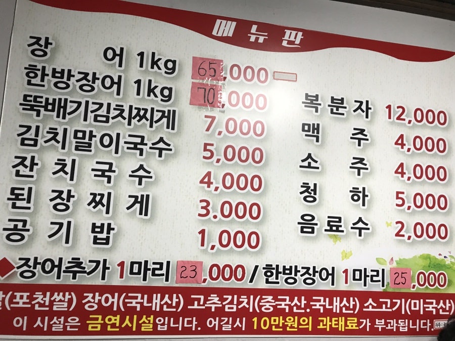 비장한장어 사진 3