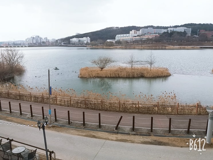 소소한 기행문 쉰일곱 번째 천안 천호지(단대호수) 및 카페 그리고 역전시장 마늘떡볶이