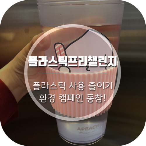  플라스틱 프리 챌린지 캠페인 참여! 저 지목되었어용 >_<