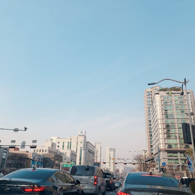  꿈에 BJ셀리 나옴