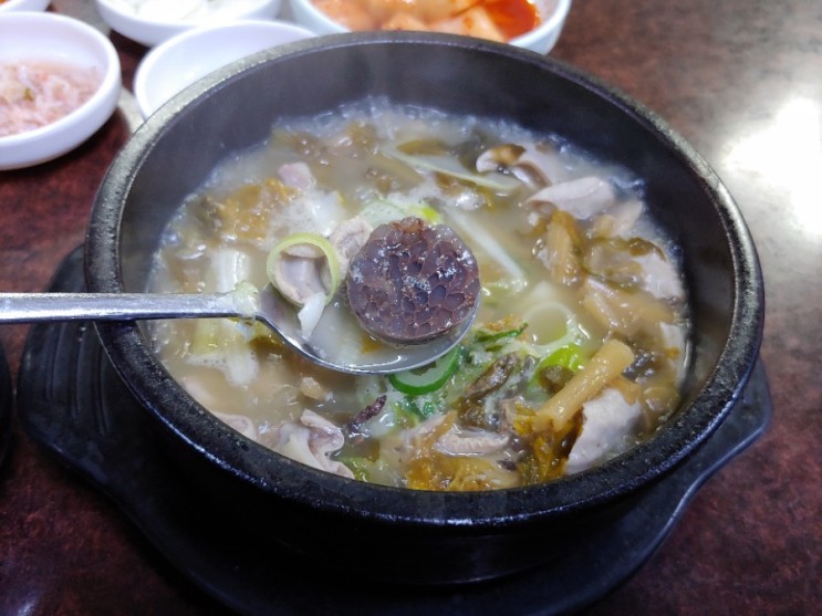 [충주맛집]충주 누리야시장 중원순대 순대국밥 / 충주 밤문화