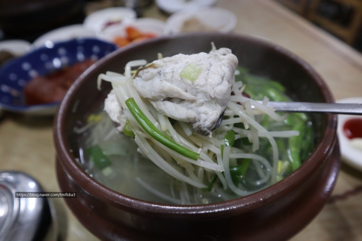  [해운대미포맛집] 부산으로 놀러 왔다면? 해장으로 최고인 24시 박옥희 할매집원조복국 + 복어,복어국 효능, 복어종류