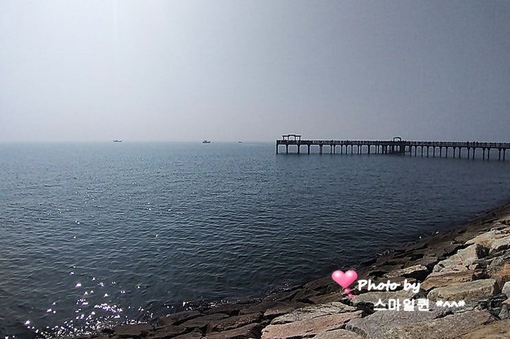 궁평항 나들이~