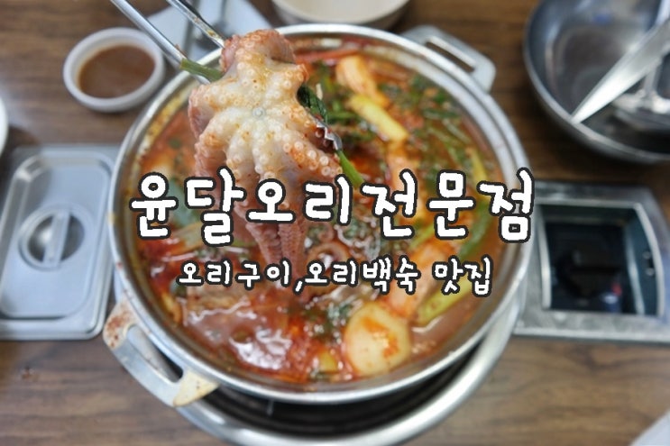  영등포 오리고기 맛집 오리 해신탕 몸보신 :) 윤달오리전문점 그래이맛이야@