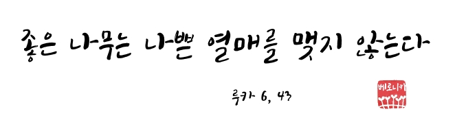 좋은 나무는 나쁜 열매를 맺지 않는다 좋은 나무는 나쁜 열매를 맺지 않는다