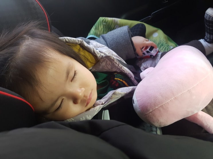  우남매!파주 타조농장에 다녀오다.동물체험가능.타조알아트체험가능