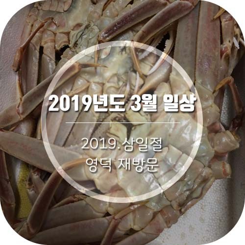 [일상글]올해 두번째 영덕대게/예쁜카페마카롱/우쥬라이크커피/녹차킷캣
