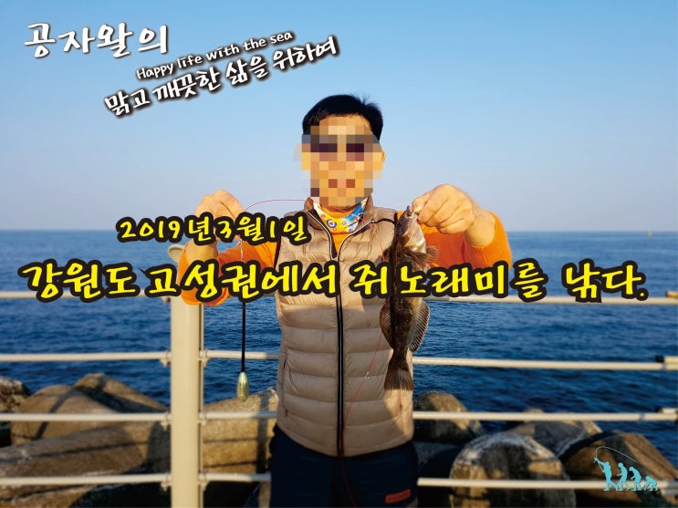  강원도 고성권 쥐노래미(돌삼치) 원투낚시-3짜 중반 인생 최대어
