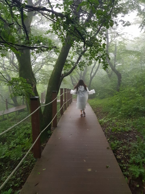  [제주] 맑은 공기가 가득한 산림욕하며 산책하기 딱 좋은 제주 절물자연휴양림