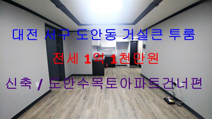  대전서구도안동신축거실큰투룸전세(도안수목토아파트건너편)