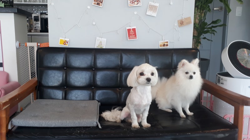 사진 6