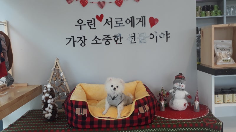 사진 5