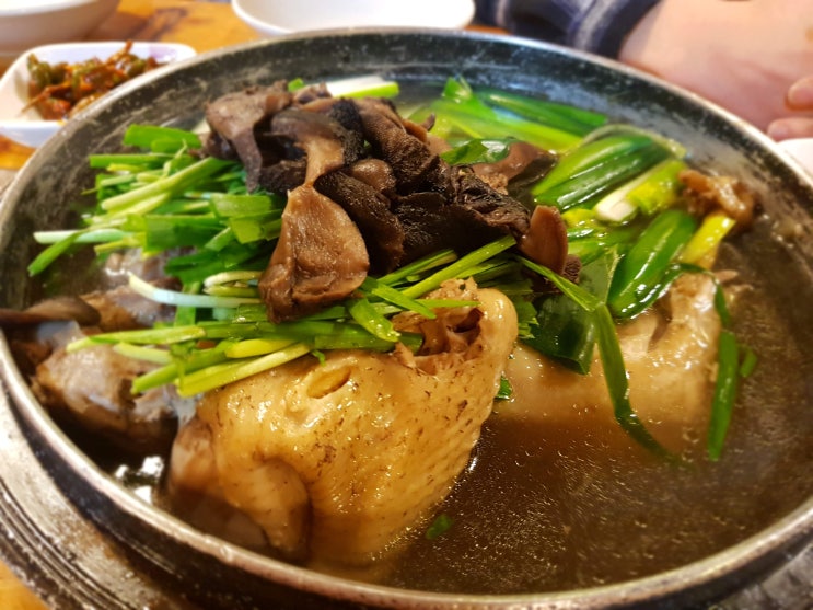  [일산능이백숙] 부모님과 가기 좋은 명성있는 일산 애니골 맛집 : 옛골시골밥상