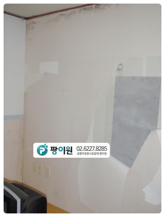  결로현상 때문에 생긴 벽지곰팡이 해결 하기~
