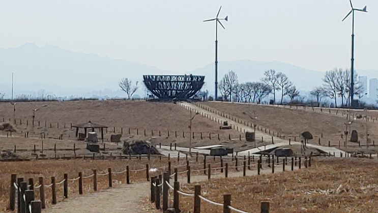 딱 일주일 전 2월 말 하늘공원 억새 군락은 모조리 꽈당 딱 일주일 전 2월 말 하늘공원 억새 군락은 모조리 꽈당