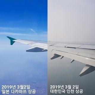  ???:고등어가 미세먼지에 주범이다