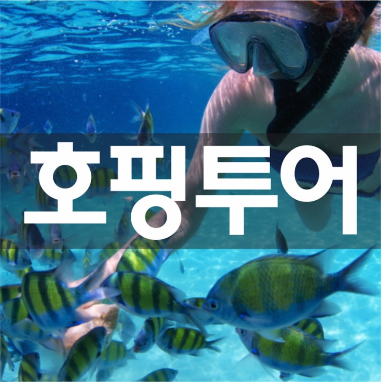  세부여행의 꽃 호핑투어! 날루수안섬과 힐루뚱안섬으로 안내 해 드리겠습니다!