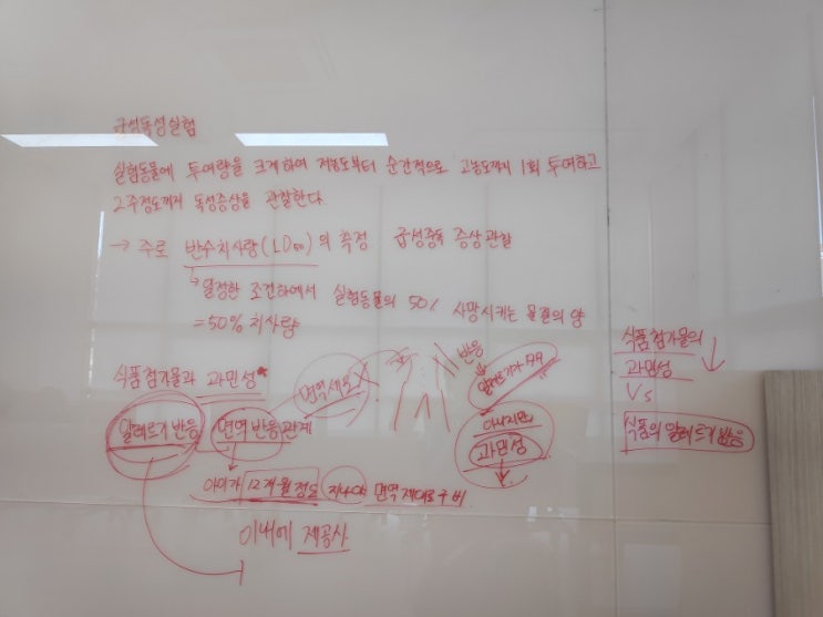  식품기사필기 후기