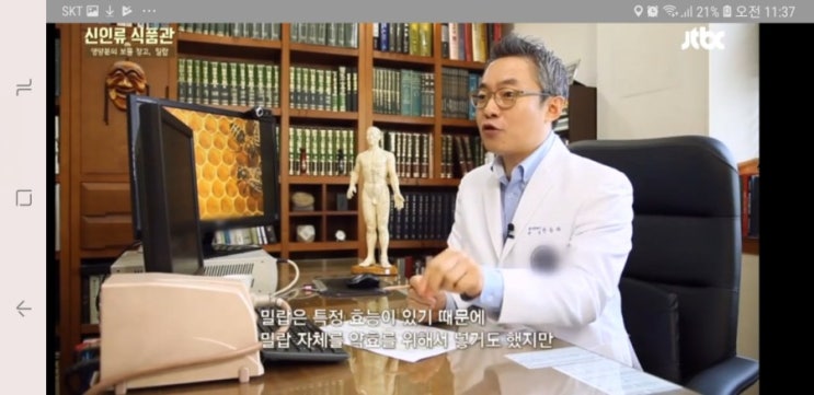  비즈왁스=밀납=sera flava