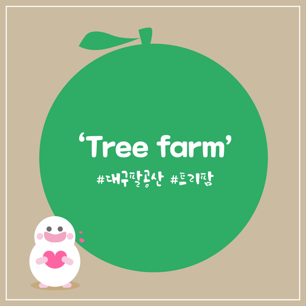 [팔공산 카페 트리팜] 자연 친화적 'Tree farm'