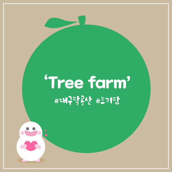  [팔공산 카페 트리팜] 자연 친화적 'Tree farm'