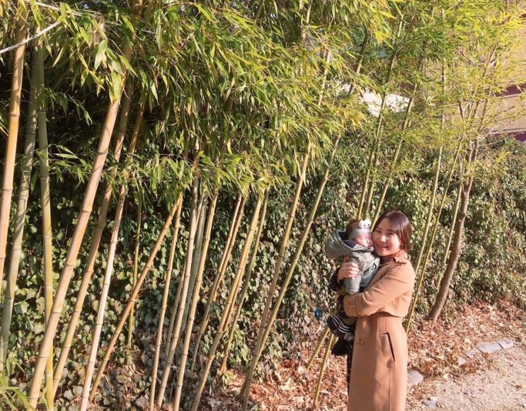  [충청도,공주여행] 공주짬뽕맛집 장순루,계룡산 갑사