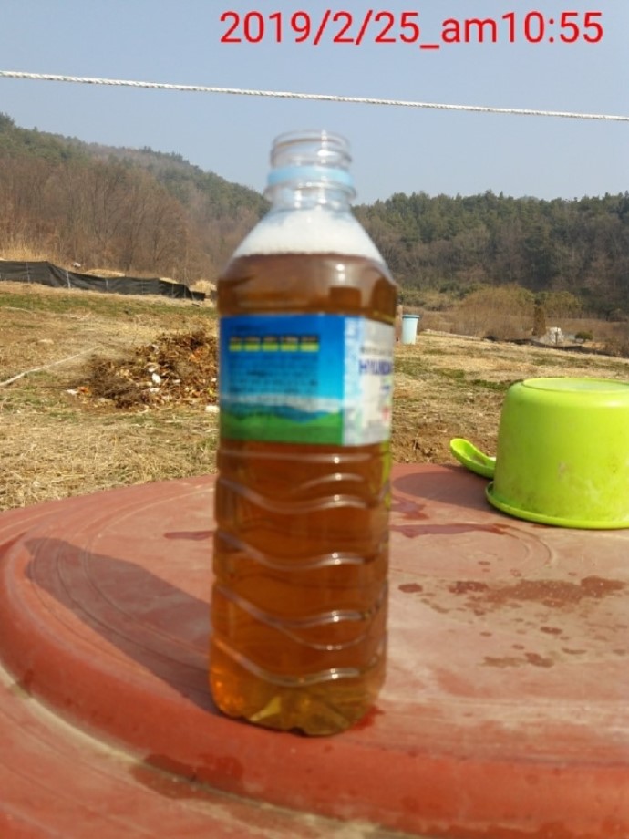  [천연살충제] 자리공(장녹,장록) 뿌리를 캤답니다~