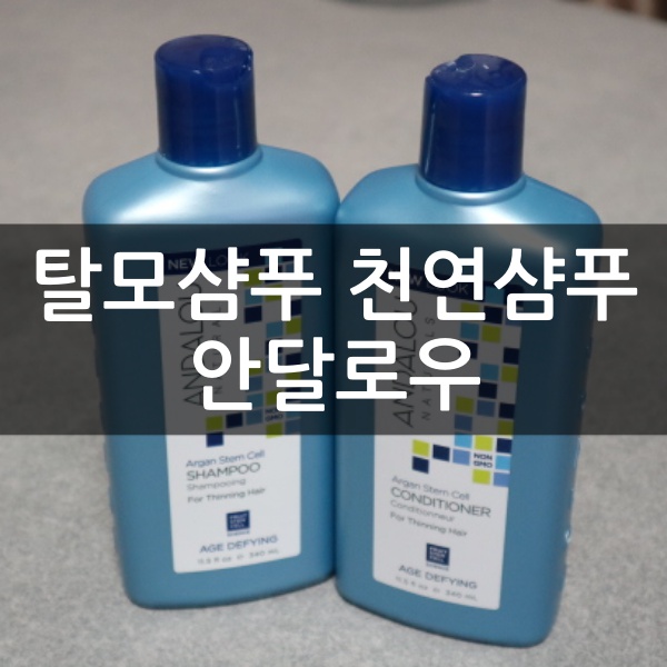 탈모샴푸 천연샴푸 : 안달로우