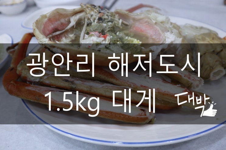 [대게맛집] 부산광안리 광안대교, 바다뷰 보며 대게 즐겨요 광안리 해저도시! 부산데이트, 광안리데이트 :)