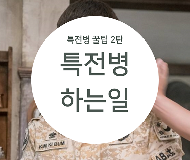  [특전병에 대한 꿀 정보 2탄] 특전병은 무슨 일을 하나?