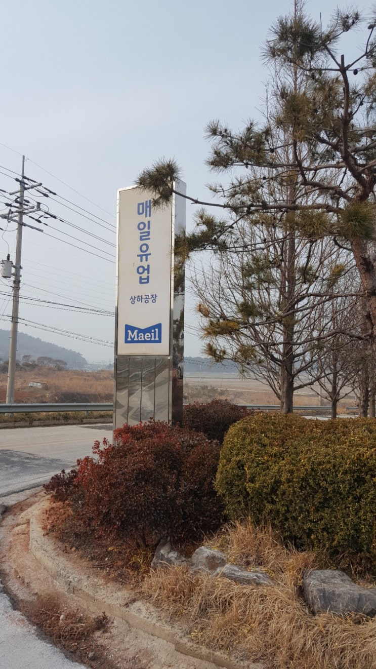  전북고창여행4)매일유업 상하공장견학