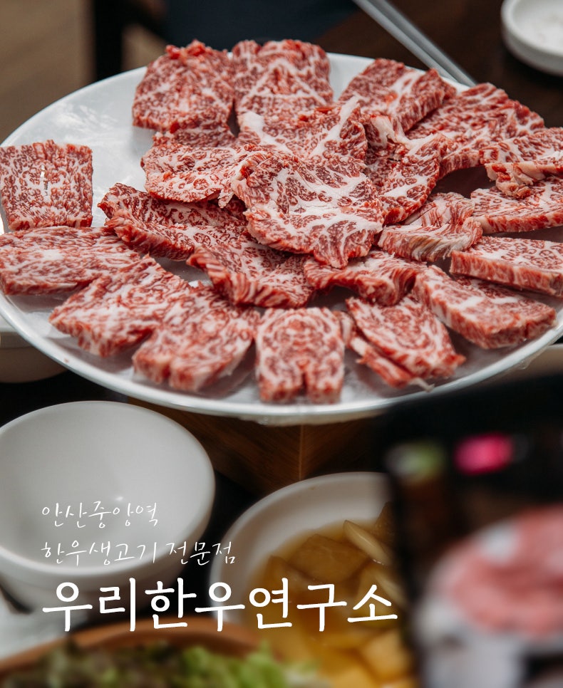 Ansan Jungang Station Hanwoo | 'Dafu Livestock Myeongjang에서 최고의 ++ Korean Beef의 검토'