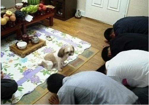  웃긴 동물 귀여운 동물 사진 모음 2탄