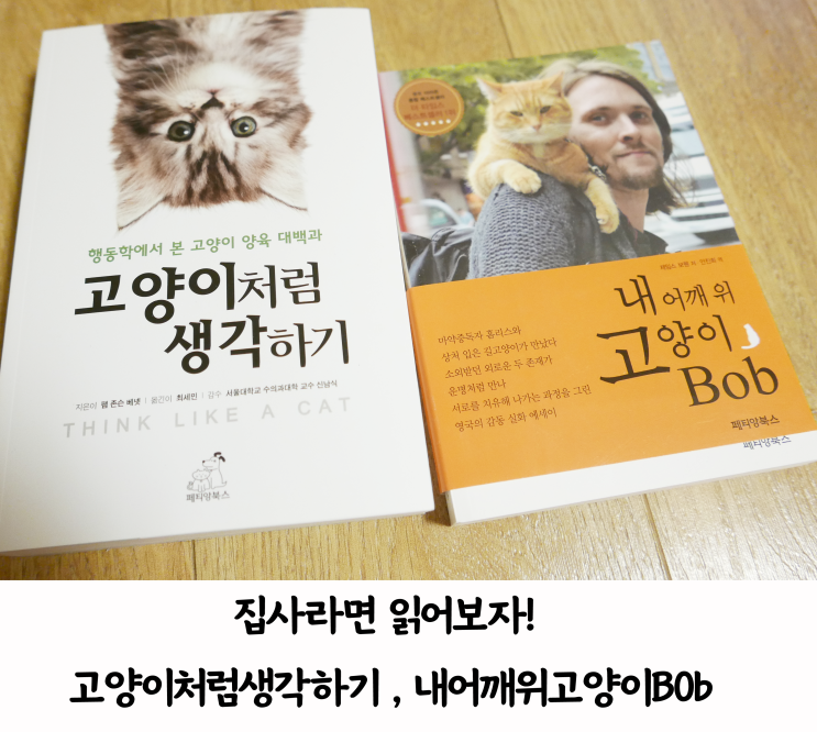 고양이처럼 생각하기, 내 어깨위 고양이 밥 [집사추천책]