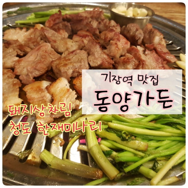  기장역 맛집 가족 외식명가 '동양가든' 참숯 돼지상차림
