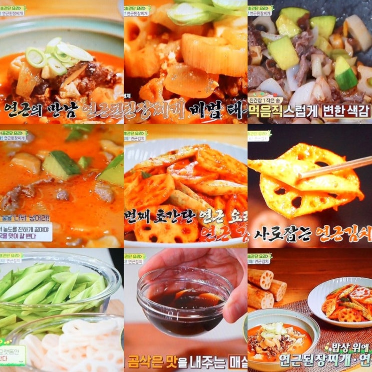  알토란 연근된장찌개 정호균 연근김치