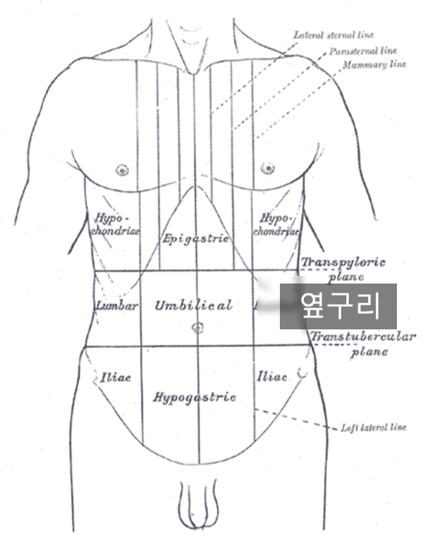 왼쪽 옆구리 뒤쪽 통증에 대해서 9