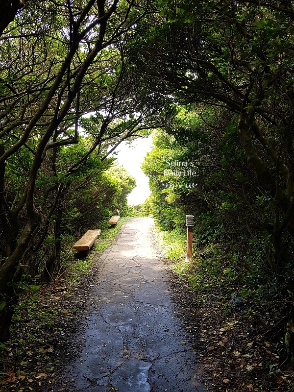  [제주] 제주도에서 한반도 찾기, 남원 큰엉 해안경승지