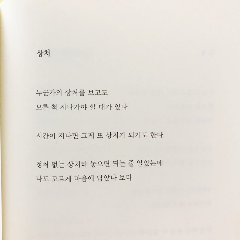 아버지도 나를 슬퍼했다 김지훈작가 시집 추천 , 현지의 마음