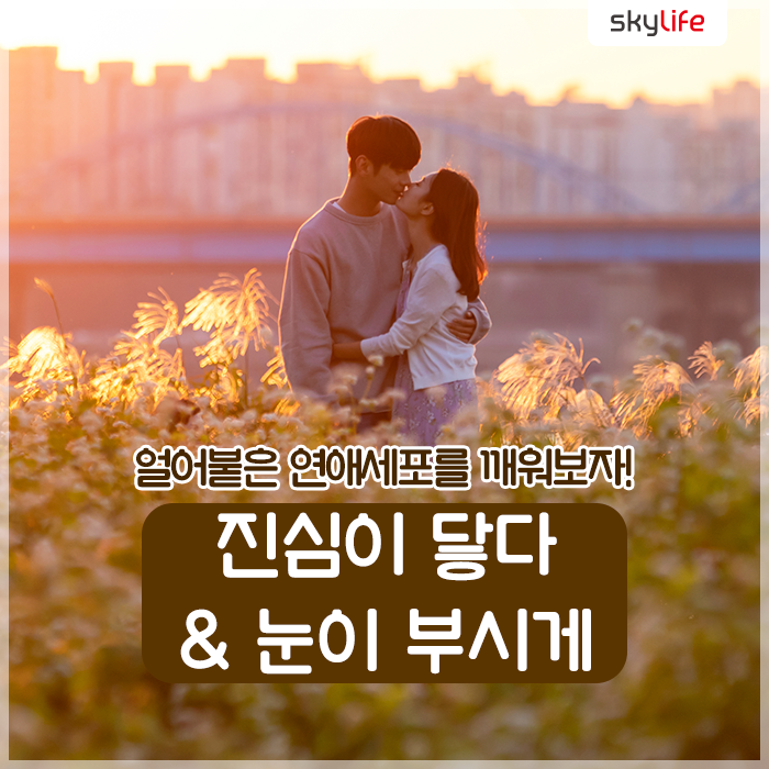  따뜻한 봄, 드라마로 얼어붙은 연애세포를 깨워보자!