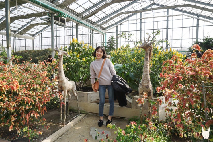모녀여행 아산 세계꽃식물원에서 미리 만난 봄