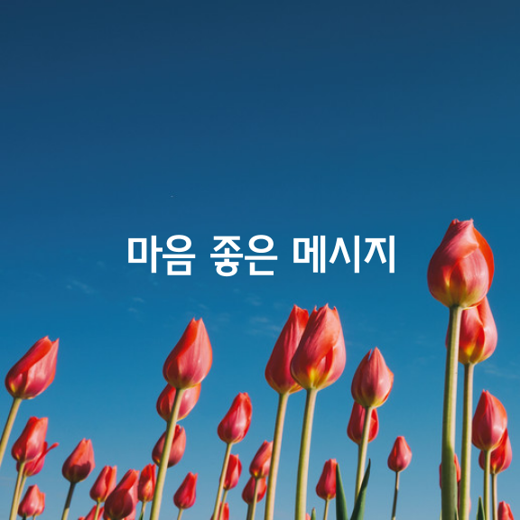  마음에 두면 좋은 11가지 메시지