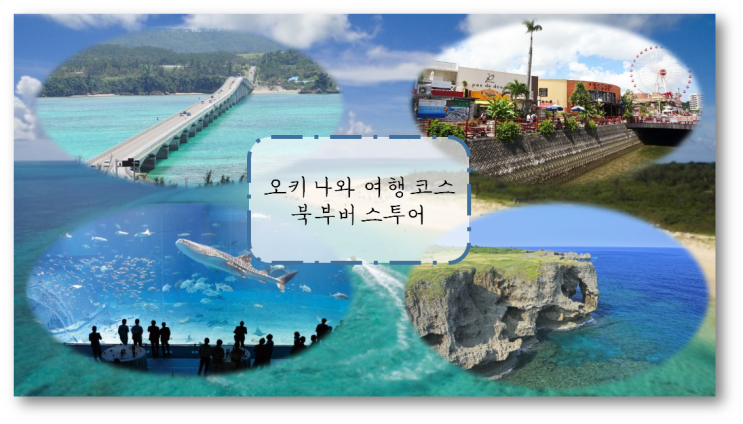 오키나와 북부투어 :: 츄라우미 수족관 등 북부 버스투어 즐기기