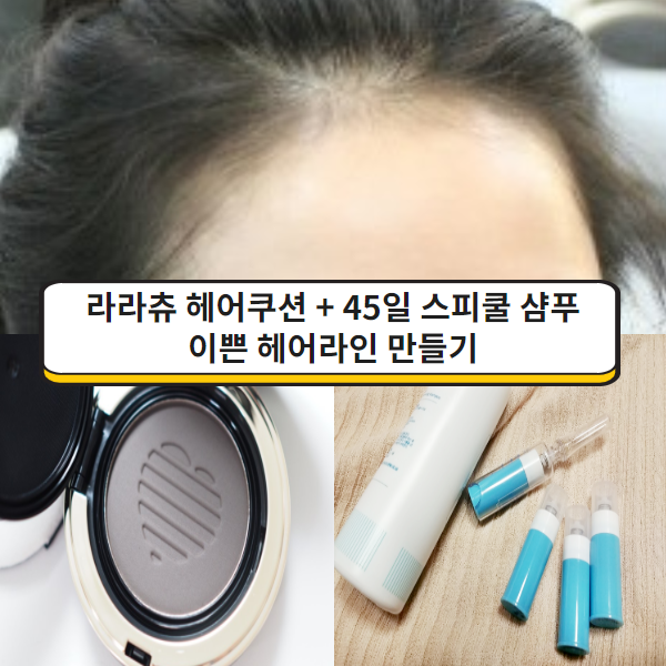  라라츄 헤어쿠션 단점?후기와 헤어라인반영구 필요X 후기