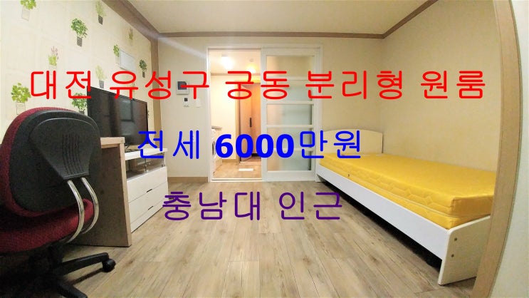  대전유성구궁동풀옵션분리형원룸전세(충남대인근)