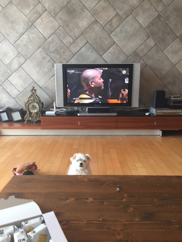  우주 짤ㅋㅋㅋㅋ
