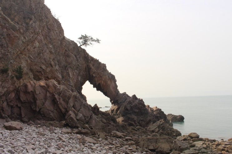  당일치기여행/한달에한번떠나는처가여행/충남서산황금산/삼길포항