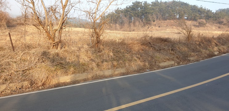  고봉포 가는 길 2,600㎡ 토지매매 9,700만원 / 백령도 진촌리