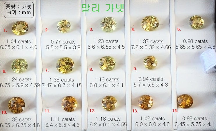  말리 가넷